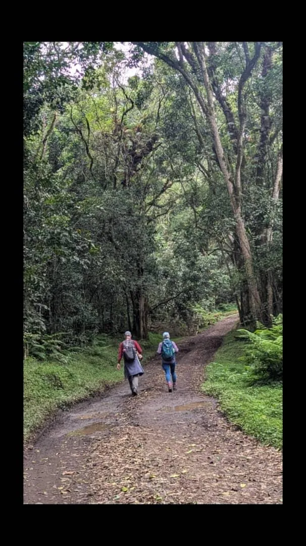 Mount Kilimanjaro trekking landscape